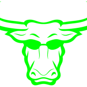 Bullhead Marketing