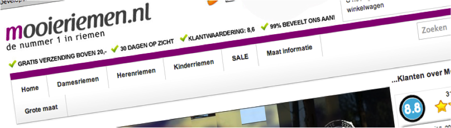 Voorbeeld Case Mooieriemen.nl