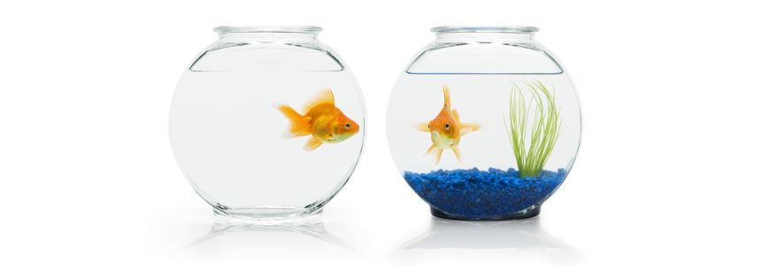 Marketingstrategie: Up-selling