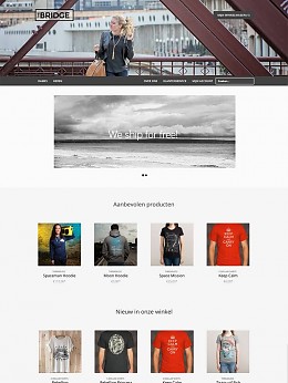 The Bridge Responsive